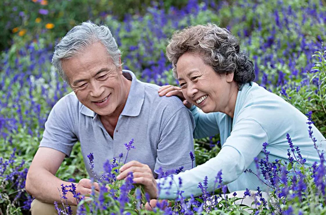 盛东智能养老系统,平台优势强大 盛东智能养老系统,平台优势强大