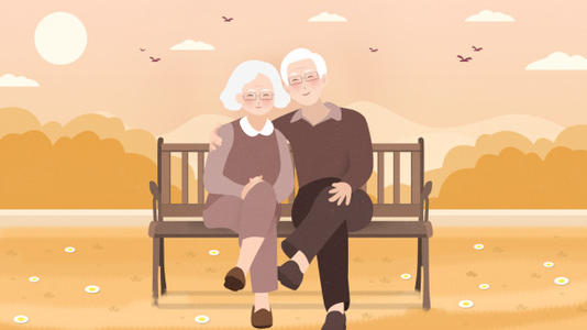 �Ӽ�����ϵͳ, �ÿƼ��������ϵ���ѡ��