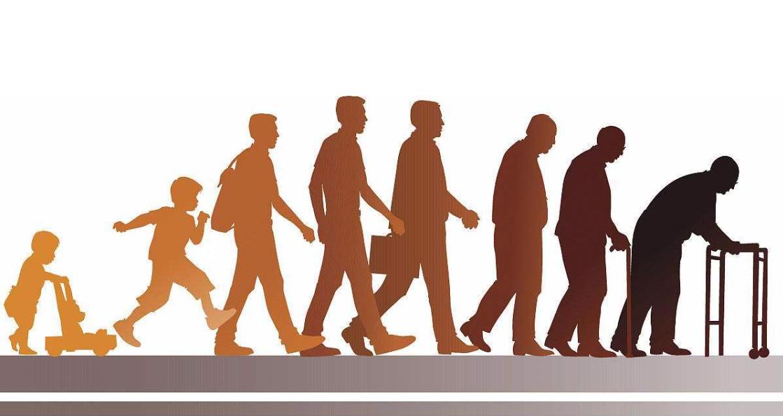 养老服务平台承建商-盛东信息 养老服务平台承建商-盛东信息